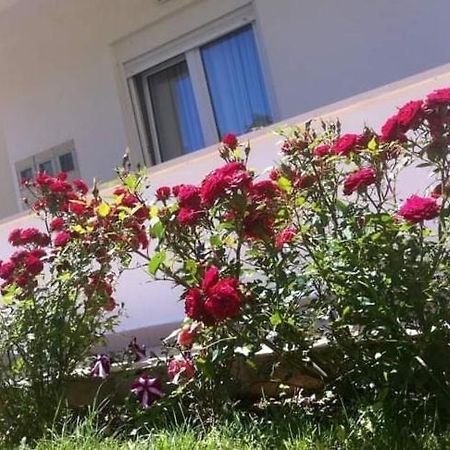Villa Markic Drvenik (Split-Dalmatia) Exterior foto