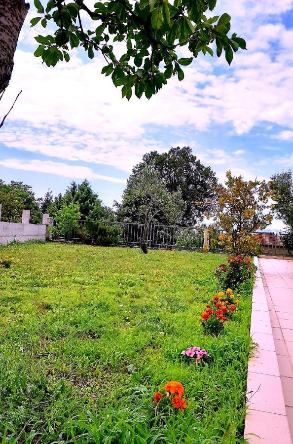Villa Markic Drvenik (Split-Dalmatia) Exterior foto