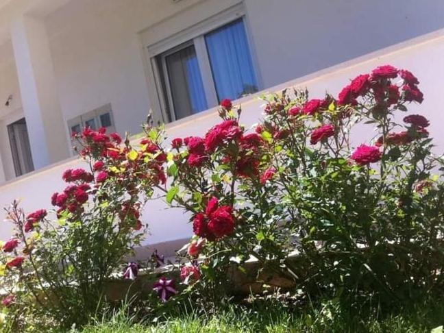 Villa Markic Drvenik (Split-Dalmatia) Exterior foto